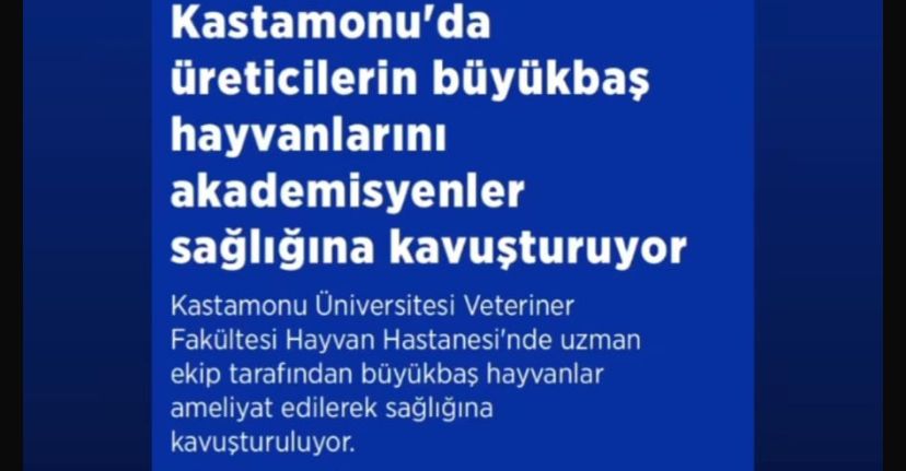 Hayvan Hastanemizden Büyükbaş Hayvancılığına Katkı